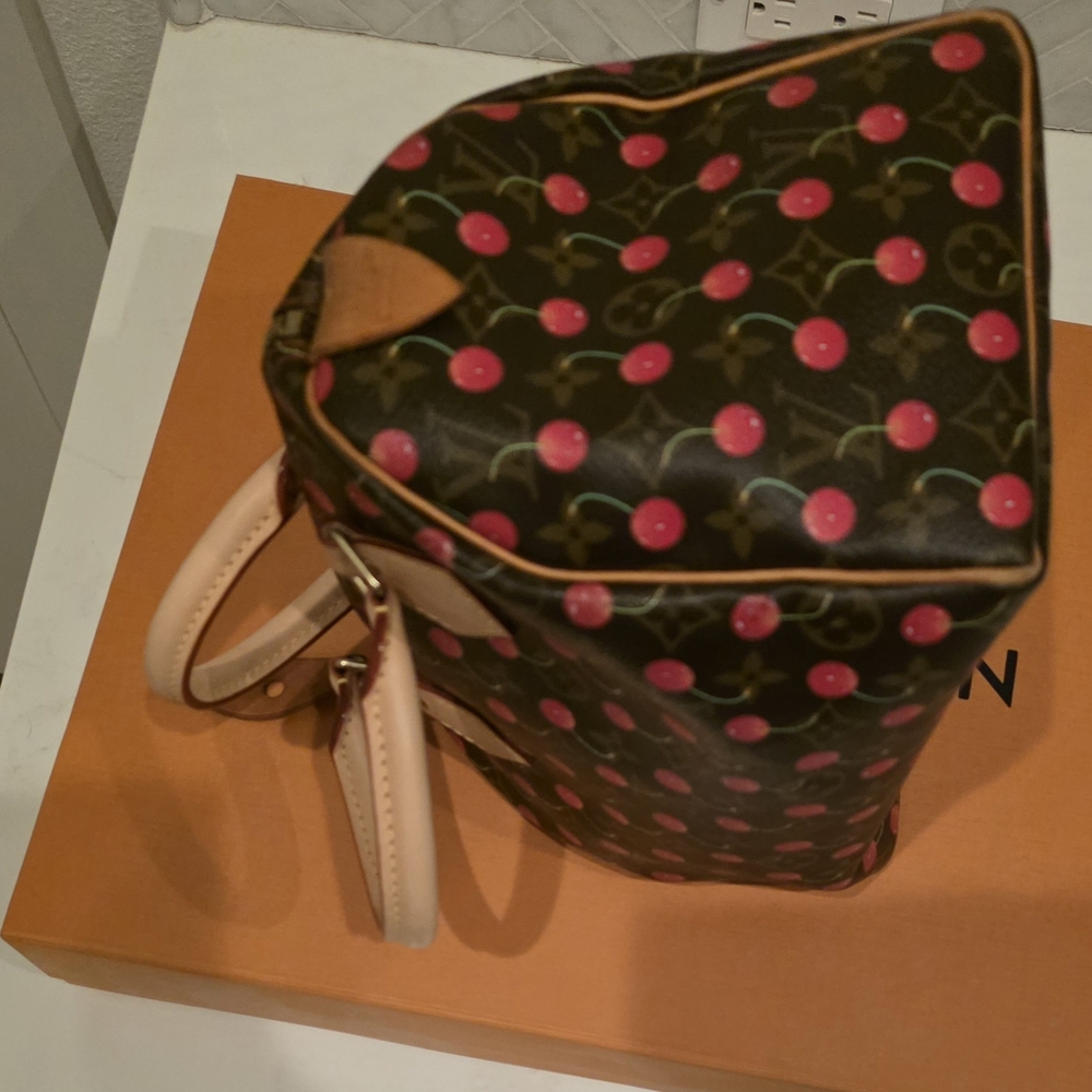 Louis Vuitton Takashi Murakami Cherry🍒🍒🍒 Speedy25 - Picture 10 of 15